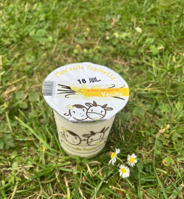 YAOURT AROMATISE VANILLE